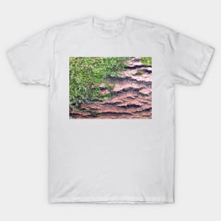 Moss and Wood Texture T-Shirt